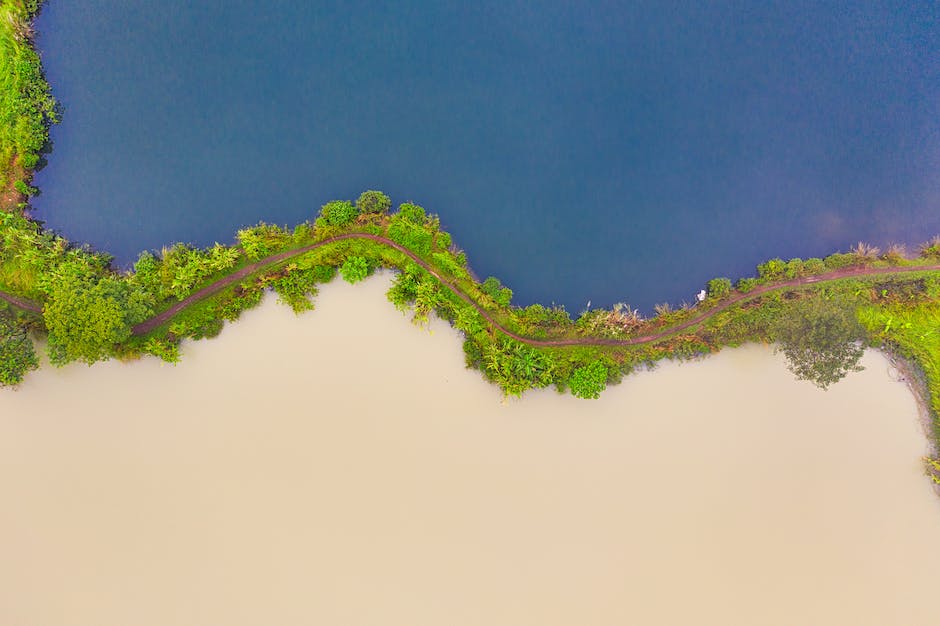 마진 콜 (Margin Call)